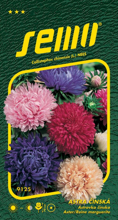 Astra čínská - Pivoine 0,5g - Obrázek 1