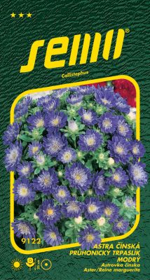 Astra čínská - Pinocchio modrý 0,3g