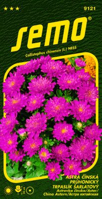 Astra čínská - Pinocchio šarlatový 0,3g