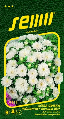 Astra čínská - Pinocchio bílý 0,3g