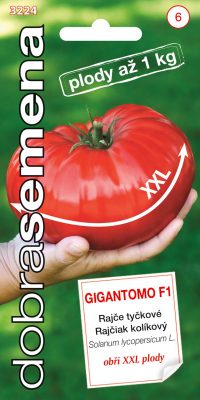 Dobrá semena Rajče tyč. - Gigantomo F1 MAXI 10s