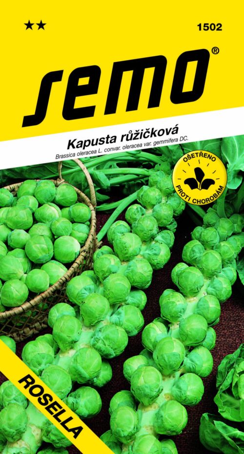 Kapusta růžičková - Groninger 0,8g - Obrázek 1