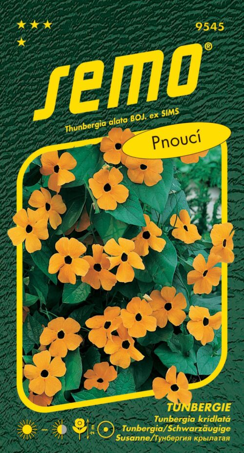 Černooká Zuzana (Tunbergie) - oranžová s okem pnoucí 1g - Obrázek 1