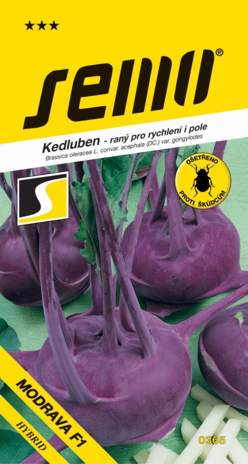 Kedluben modrý - Modrava F1 raný, pro pole 50s - Obrázek 1