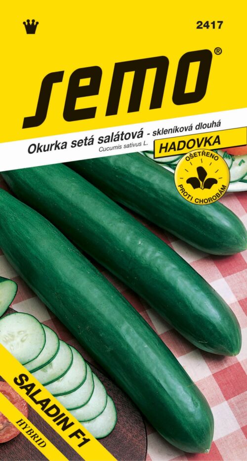 Okurka sklen. - Saladin F1 dl 10s - Obrázek 1