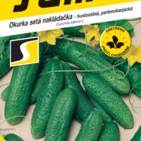 Okurka nakl. - Elisabet F1 partenokarpická hu 1,5g