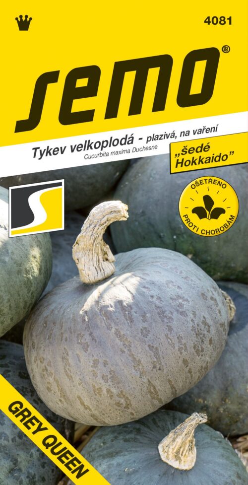 Tykev typ Hokkaido - Grey Queen F1 7s - Obrázek 1