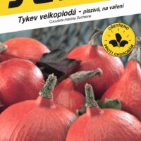 Tykev typ Hokkaido - Solor F1 8s