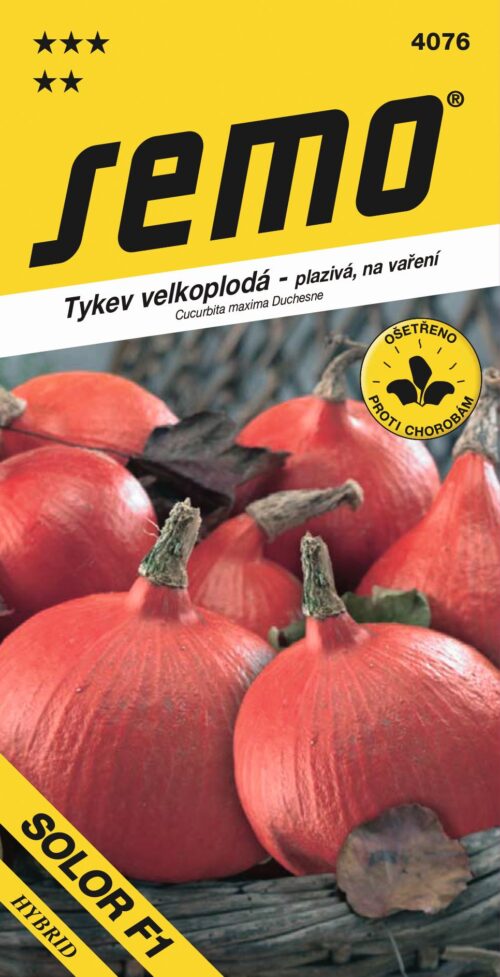 Tykev typ Hokkaido - Solor F1 8s - Obrázek 1