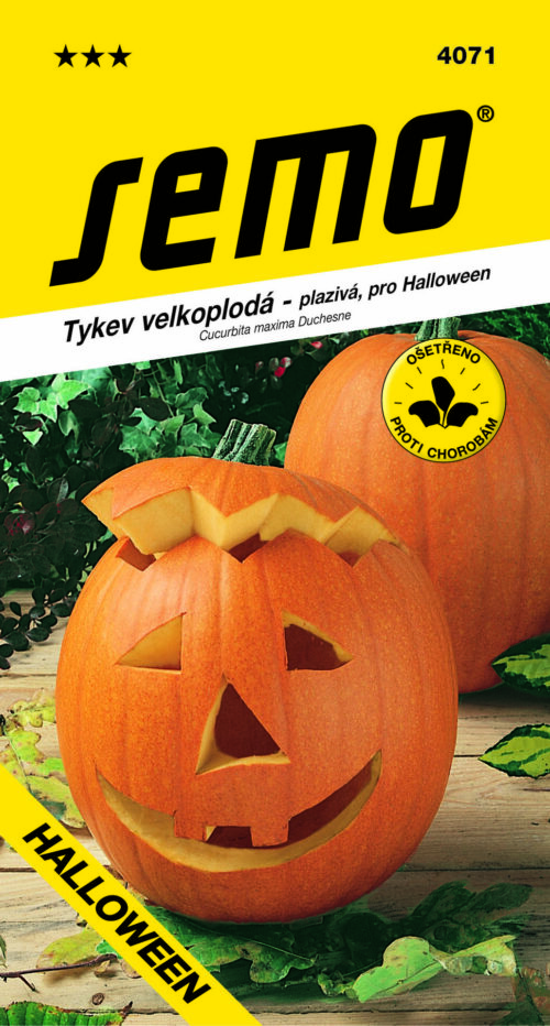 Tykev plazivá - Gran Gigante (Halloween) 2g - Obrázek 1