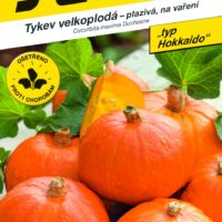 Tykev typ Hokkaido - Shokichi Red F1 (typ Kabocha) 5s