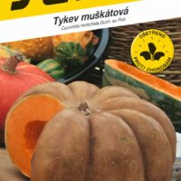 Tykev muškátová - Moscata di Provenza konz.vař 2g