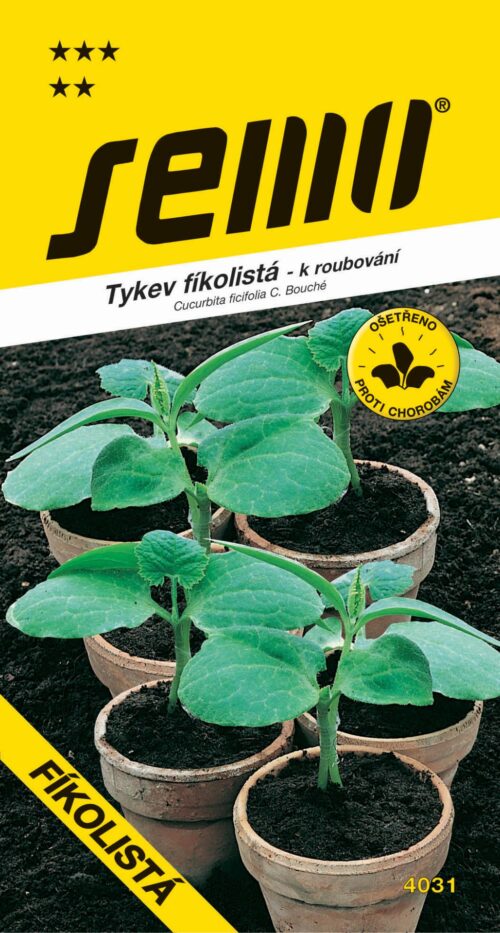 Tykev k roubování - fíkolistá (SM CF 106) 15s  série "Roubuj s námi" - Obrázek 1