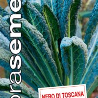 Dobrá semena Kapusta listová mrazuvzdorná - Nero Di Toscana 0,5g