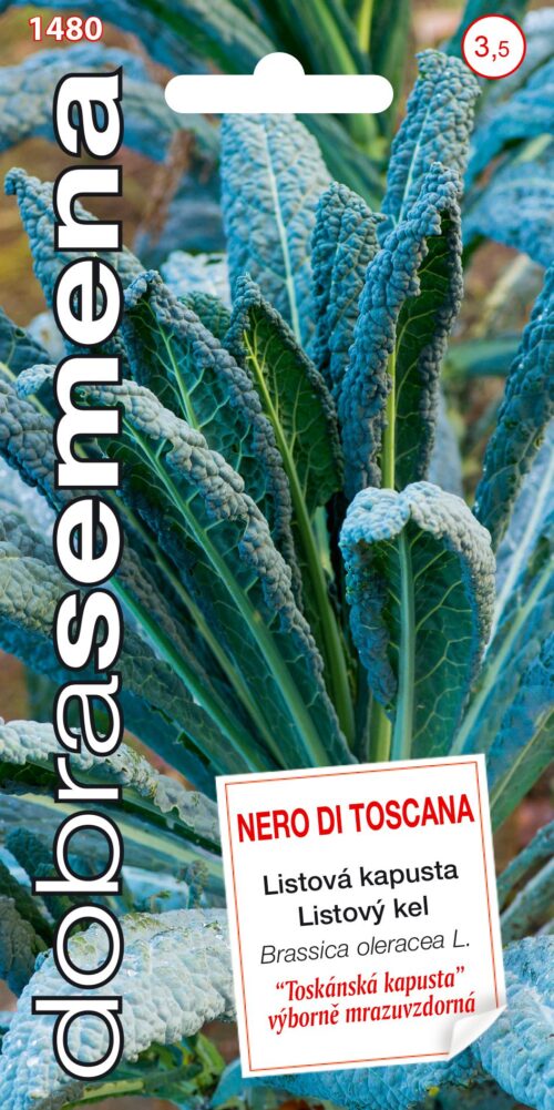 Dobrá semena Kapusta listová mrazuvzdorná - Nero Di Toscana 0,5g - Obrázek 1
