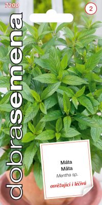Dobrá semena Máta 500s