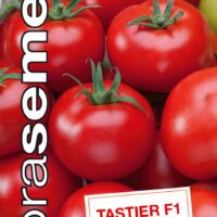 Dobrá semena Rajče tyč. koktejlové - Tastier F1 20s