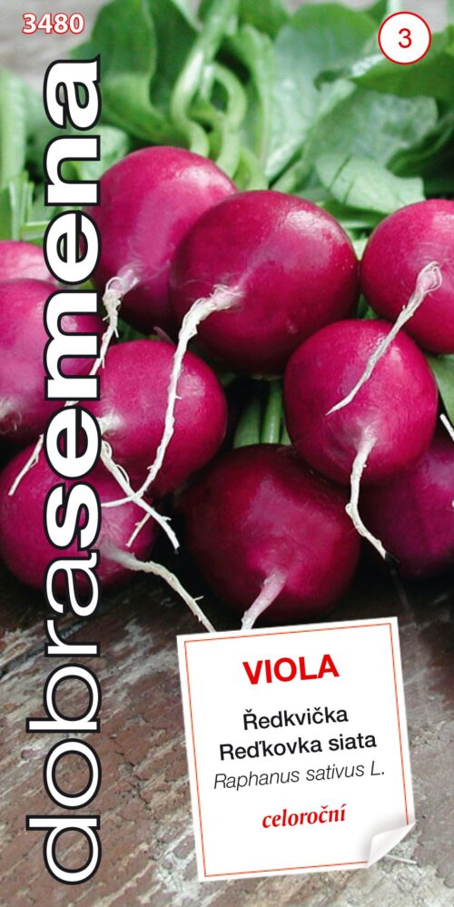 Dobrá semena Ředkvička fialová - Viola celoroční 4g - Obrázek 1