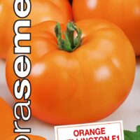 Dobrá semena Rajče tyč. - Orange Wellington F1 biftekové 10s
