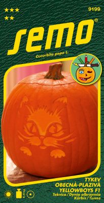 Tykev okrasná - Yellowboys F1 3g - série K DEKORACI