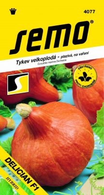 Tykev typ Hokkaido - Delician F1 5s