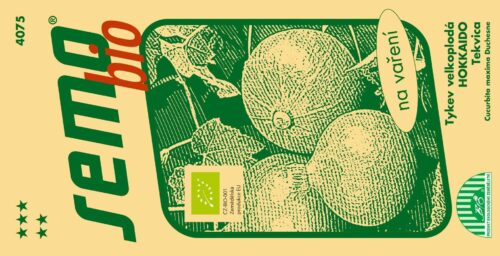 BIO Tykev plazivá - Hokkaido Orange 10s - Obrázek 1
