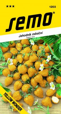 Jahodník měsíční - Yellow Wonder 0,1g