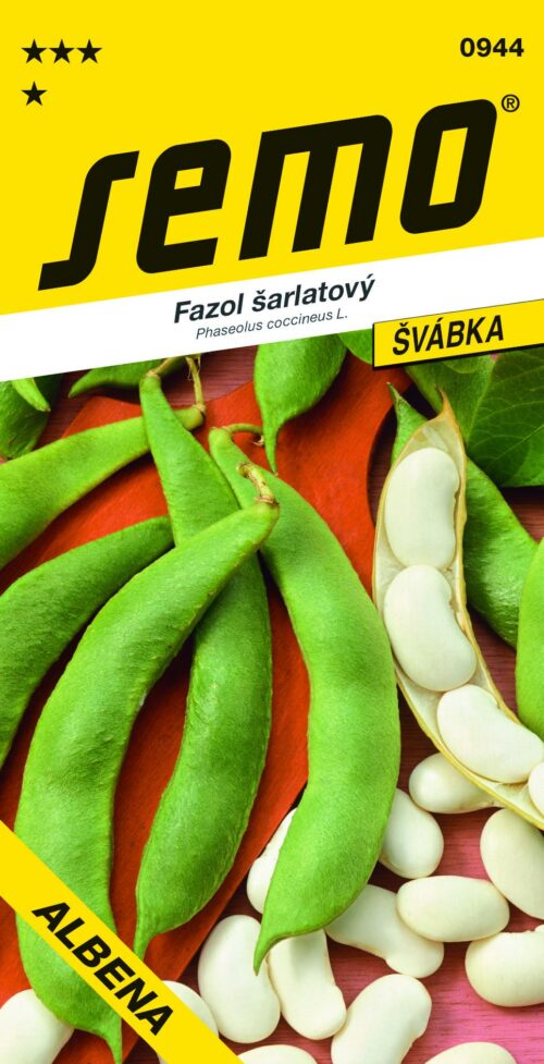 Fazol tyč. bílý - Albena 10s - Obrázek 1