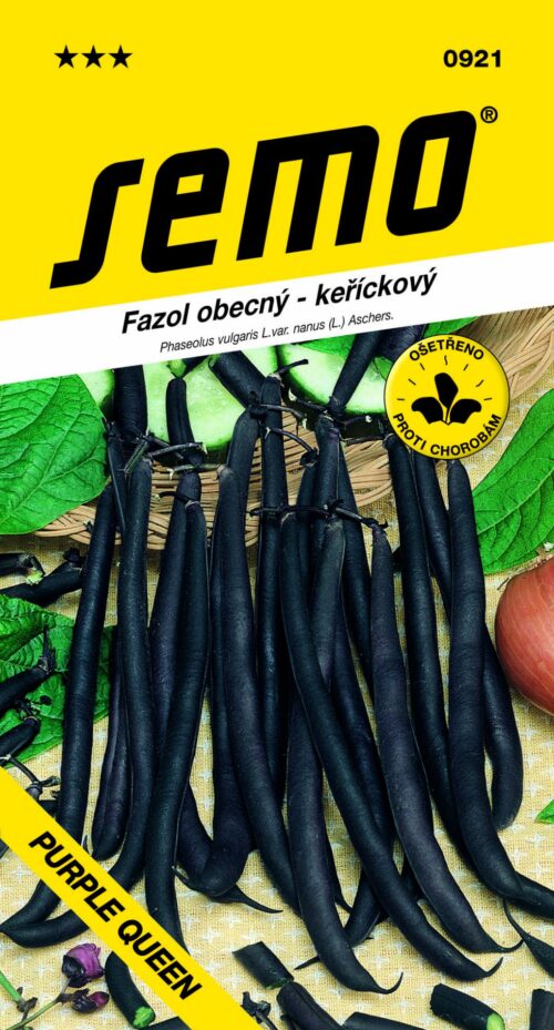 Fazol keř. fialový - Purple Queen 10g - Obrázek 1
