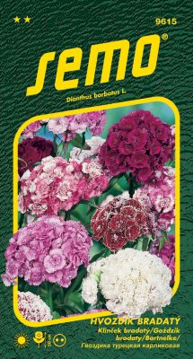 Hvozdík bradatý - směs 0,5g