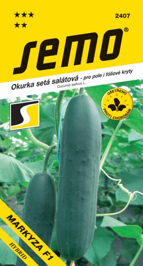 Okurka salát. - Markyza F1 fol., pole 1,5g - Obrázek 1