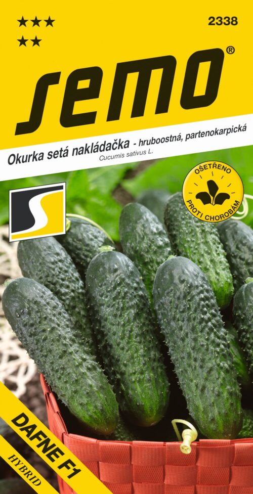 Okurka nakl. - Dafne F1 partenokarpická hr 1,5g - Image 1