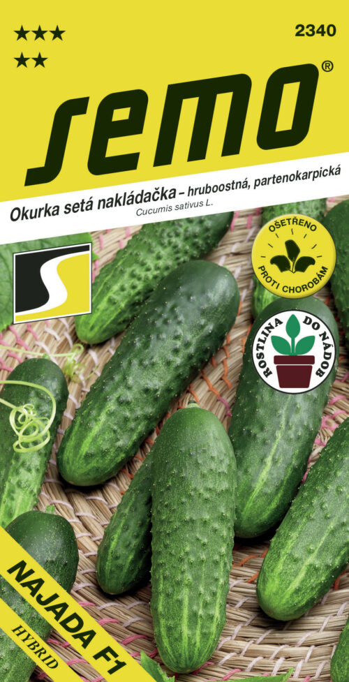 Okurka nakl. - Najada F1 partenokarpická hr 1,5g - série DO NÁDOB - Obrázek 1