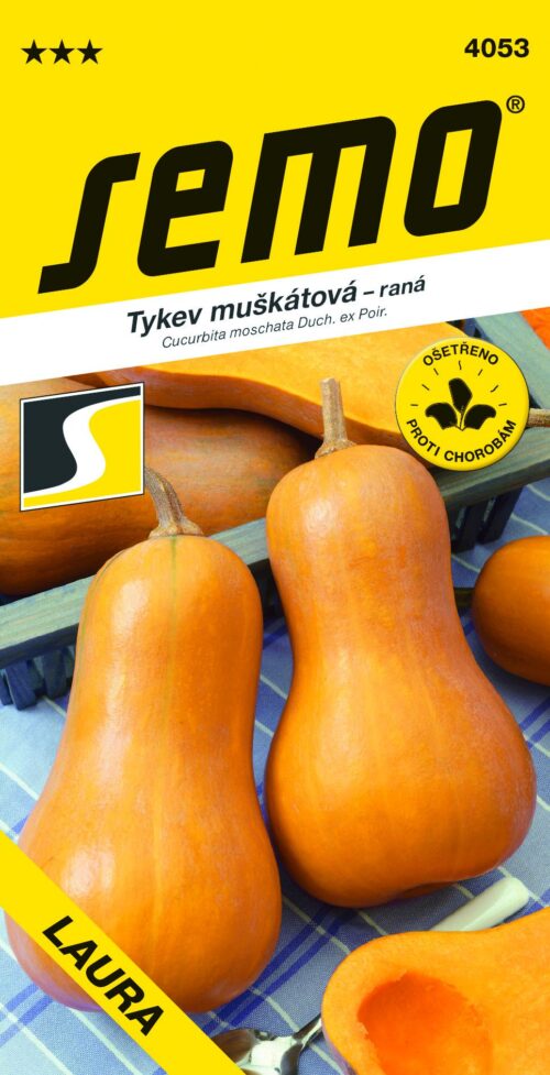 Tykev muškátová - Laura (typ Butternut) konz.vař 2g - Image 1