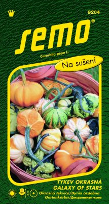 Tykev okrasná - Galaxy of Stars F1 0,4g