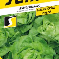 Salát celoroční - Merkurion PROFI polní 0,6g