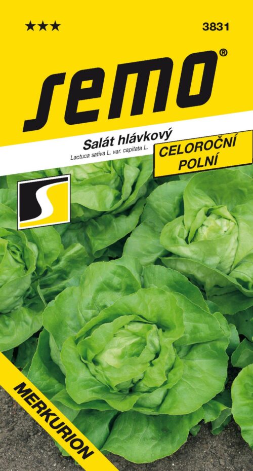 Salát celoroční - Merkurion PROFI polní 0,6g - Obrázek 1