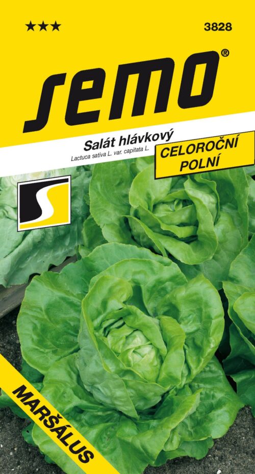 Salát celoroční - Maršálus PROFI polní 0,6g - Obrázek 1
