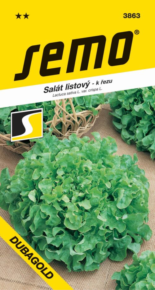 Salát kadeřavý k řezu - Dubagold 0,6g - Obrázek 1