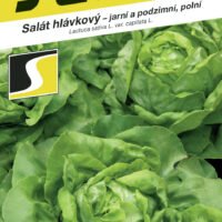 Salát jarní, letní, podzimní - Titanus polní 0,5g
