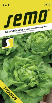 Salát jarní, letní, podzimní - Titanus polní 0,5g