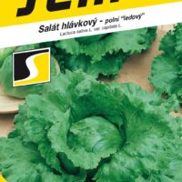 Salát ledový - Medimo PROFI polní 0,6g