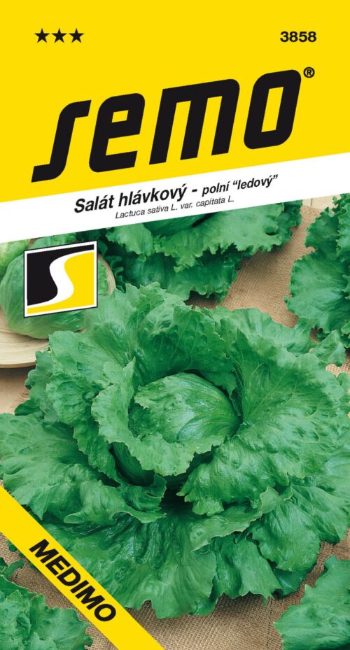 Salát ledový - Medimo PROFI polní 0,6g - Obrázek 1