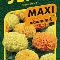 Aksamitník vzpřímený - Taishan F1 15s - série MAXI