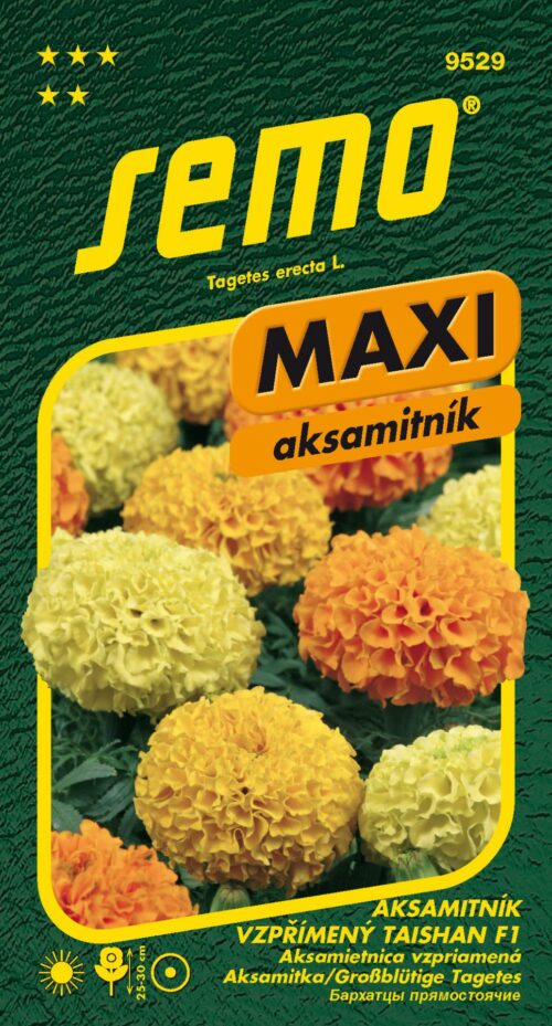 Aksamitník vzpřímený - Taishan F1 15s - série MAXI - Obrázek 1