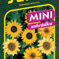 Slunečnice roční - Pacino mix (Dwarf mix)15s - série MINI
