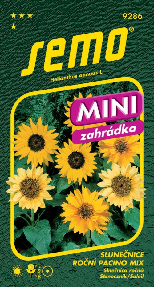 Slunečnice roční - Pacino mix (Dwarf mix)15s - série MINI - Obrázek 1
