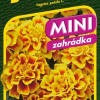 Aksamitník rozkladitý - Safari Yellow Fire 30s - série MINI