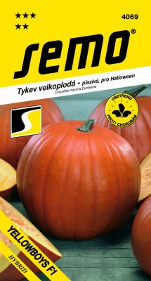 Tykev plazivá - Yellowboys F1 (Halloween) 3g
