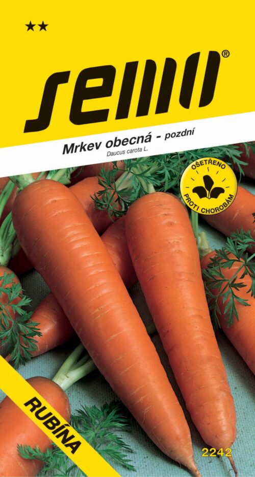 Mrkev - Rubína pozdní 3g - Obrázek 1